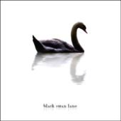 Cool Motherfucker by Black Swan Lane
