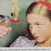 Real Live Birds Vol. 1