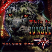 This Is Jungle Vol.1