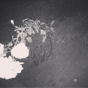 She Brought Me Flowers (I + II)