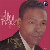 The Soulful Moods Of Marvin Gaye