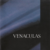 Bio by Venaculas