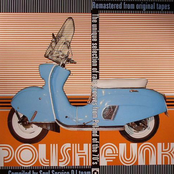 Polish Funk vol. 1 - Compiled by Soul Service DJ team
