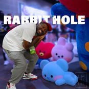 Rabbit Hole (Fallin)