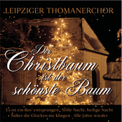 Der Christbaum ist der schönste Baum