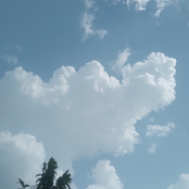 Purna Rai: Manaka kura