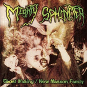 Waltz In Hell by Mighty Sphincter