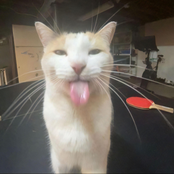 When Can I See You Again (Pluggnb Remix)