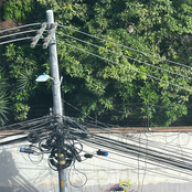 I Really Really Love You (Deluxe Version)