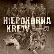 Niepokorna krew