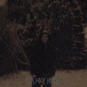 The Wolf Hornet [EP]