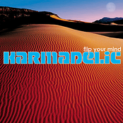 Flip Your Mind by Karmadelic