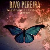 Happiness Is a Butterfly (Cover)