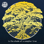 In the Shade of a Camphor Tree