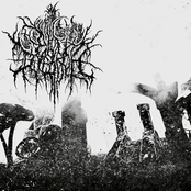 Ald Daedroth - Corpvsarivm