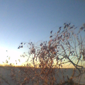 Chase The Wind, Embrace The Sky