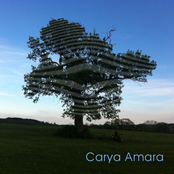 Another Chance to See