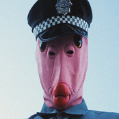 Fajitas (Poliz Navidad)