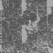 Balduvian Bears: Regret