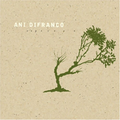 Decree by Ani Difranco