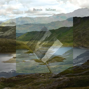 Salinas