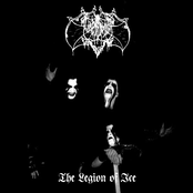The Legion of Ice