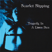 Tragedy In A Lions Den