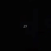 23