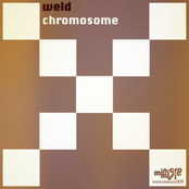 Chromosome [minicromusic009]