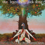 Pendulum by The Legendary Pink Dots