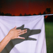 solo quiero ser tu perro