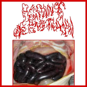 Rampant Defenestration