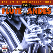 l'art de la flûte des andes