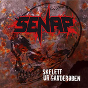 Naturens Sång by Senap