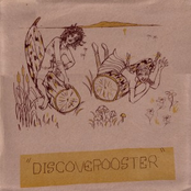 Discoverooster