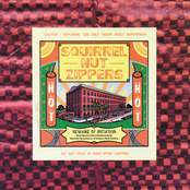 Prince Nez by Squirrel Nut Zippers