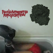 Split with ExCxLxCxCxBxPxCxTxSx