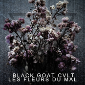 Les Fleurs Du Mal