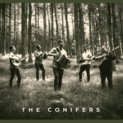 The Conifers