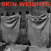 Skin Weights