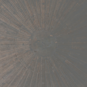 William Basinski: Selva Oscura