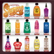 Gruff Rhys: Hotel Shampoo