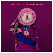 Sound Of Erasing by Rubblebucket