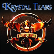 Prisioner Of Your Love by Krystal Tears