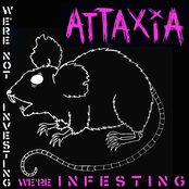 We're not investing, we're INFESTING