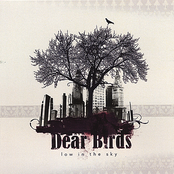 Dear Birds by Low In The Sky