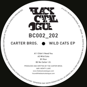 Wild Cats