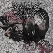 S/T