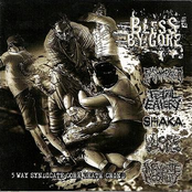 Bless By Gore 5 Way Split
