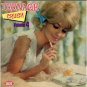 Teenage Crush - Vol 4